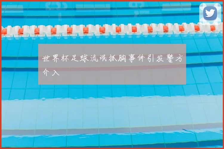世界杯足球流氓抓胸事件引发警方介入