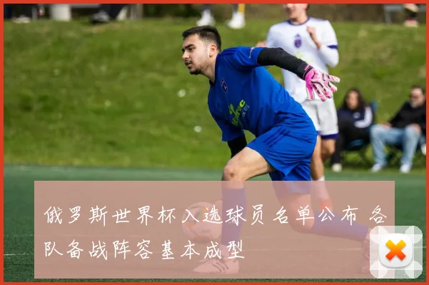 俄罗斯世界杯入选球员名单公布 各队备战阵容基本成型