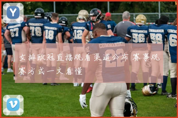 女排欧冠直播观看渠道公布 赛事观赛方式一文看懂