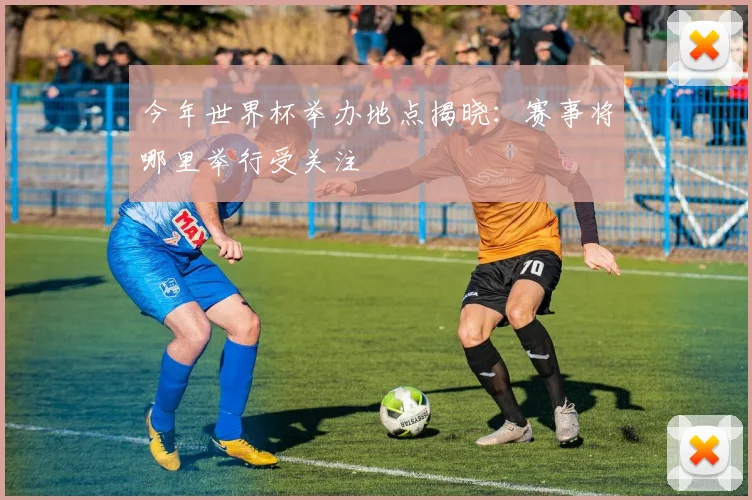 今年世界杯举办地点揭晓：赛事将哪里举行受关注
