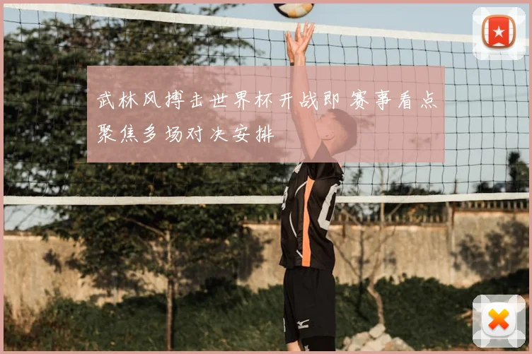 武林风搏击世界杯开战即 赛事看点聚焦多场对决安排
