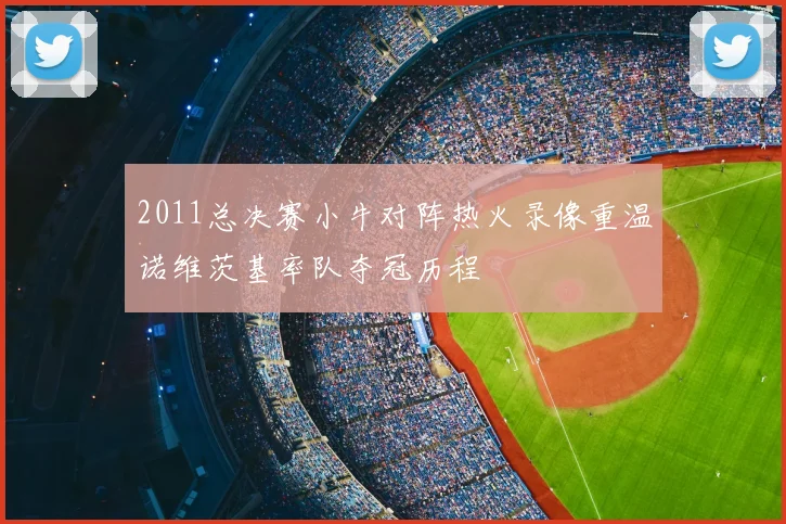 2011总决赛小牛对阵热火录像重温诺维茨基率队夺冠历程