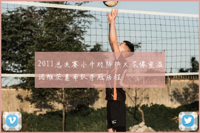 2011总决赛小牛对阵热火录像重温诺维茨基率队夺冠历程
