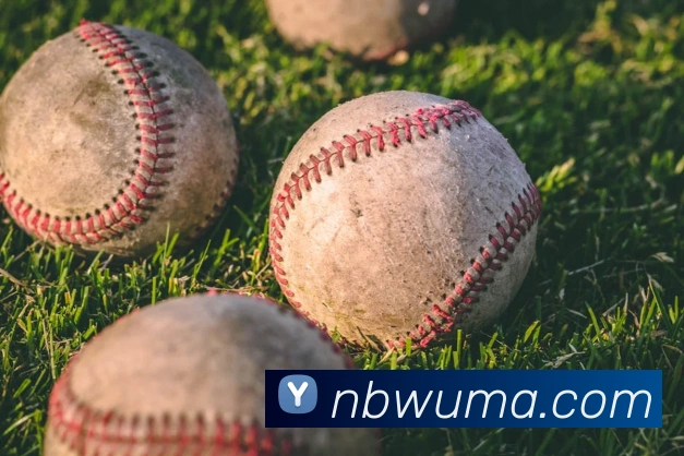 爱体育电子官网登录发展历程